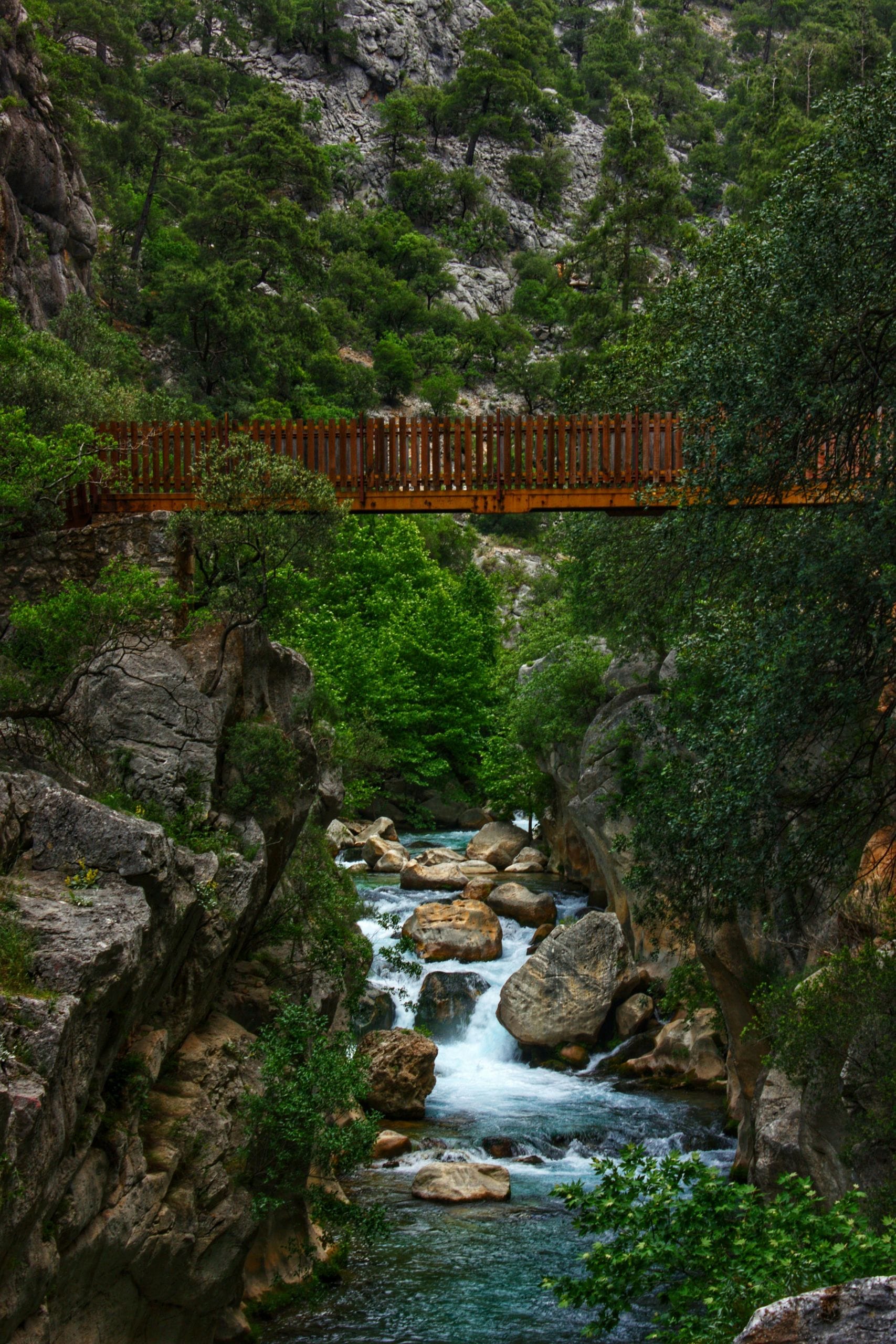 Pexels bilal 218035620