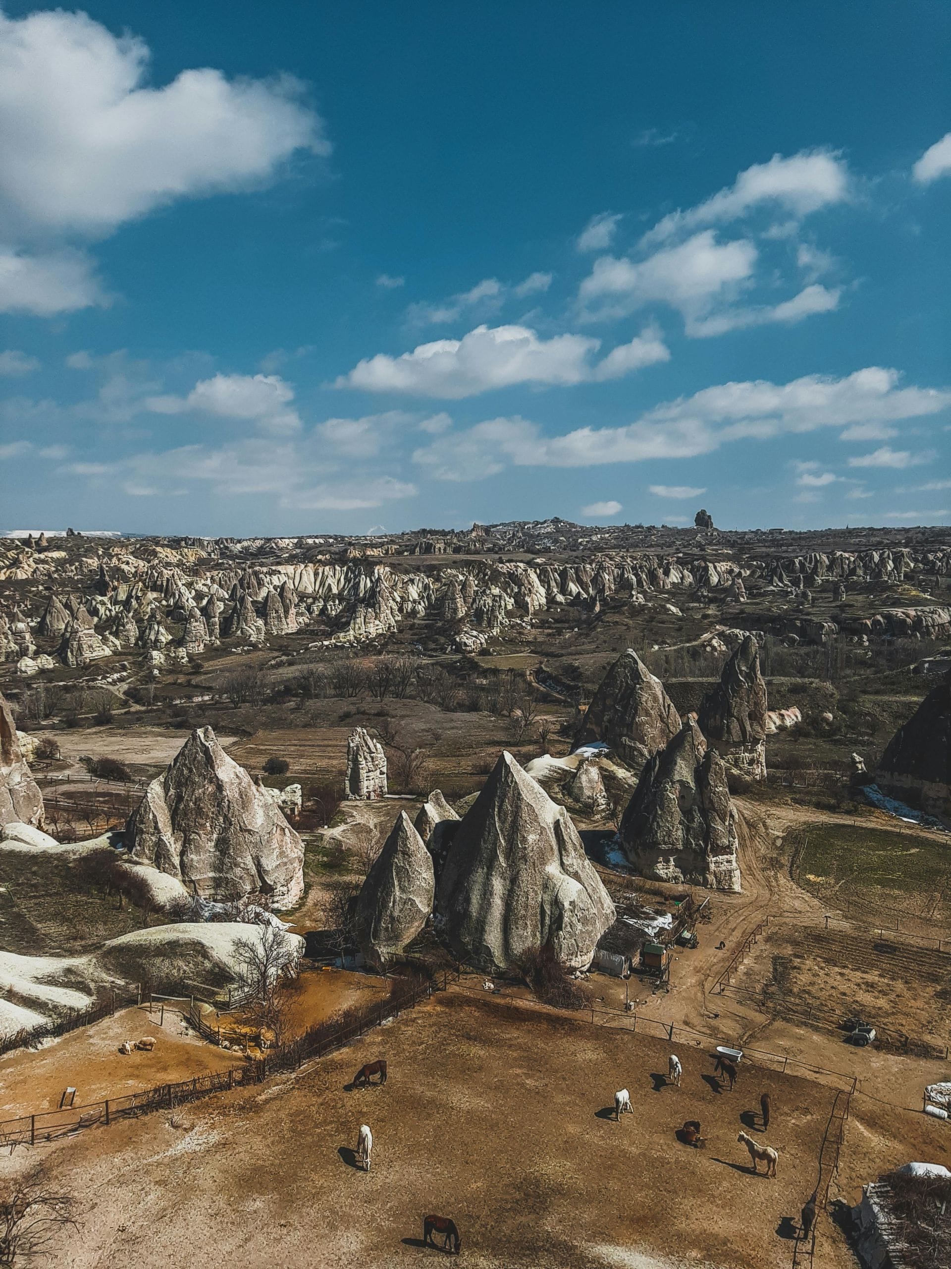Pexels esrakorkmaz