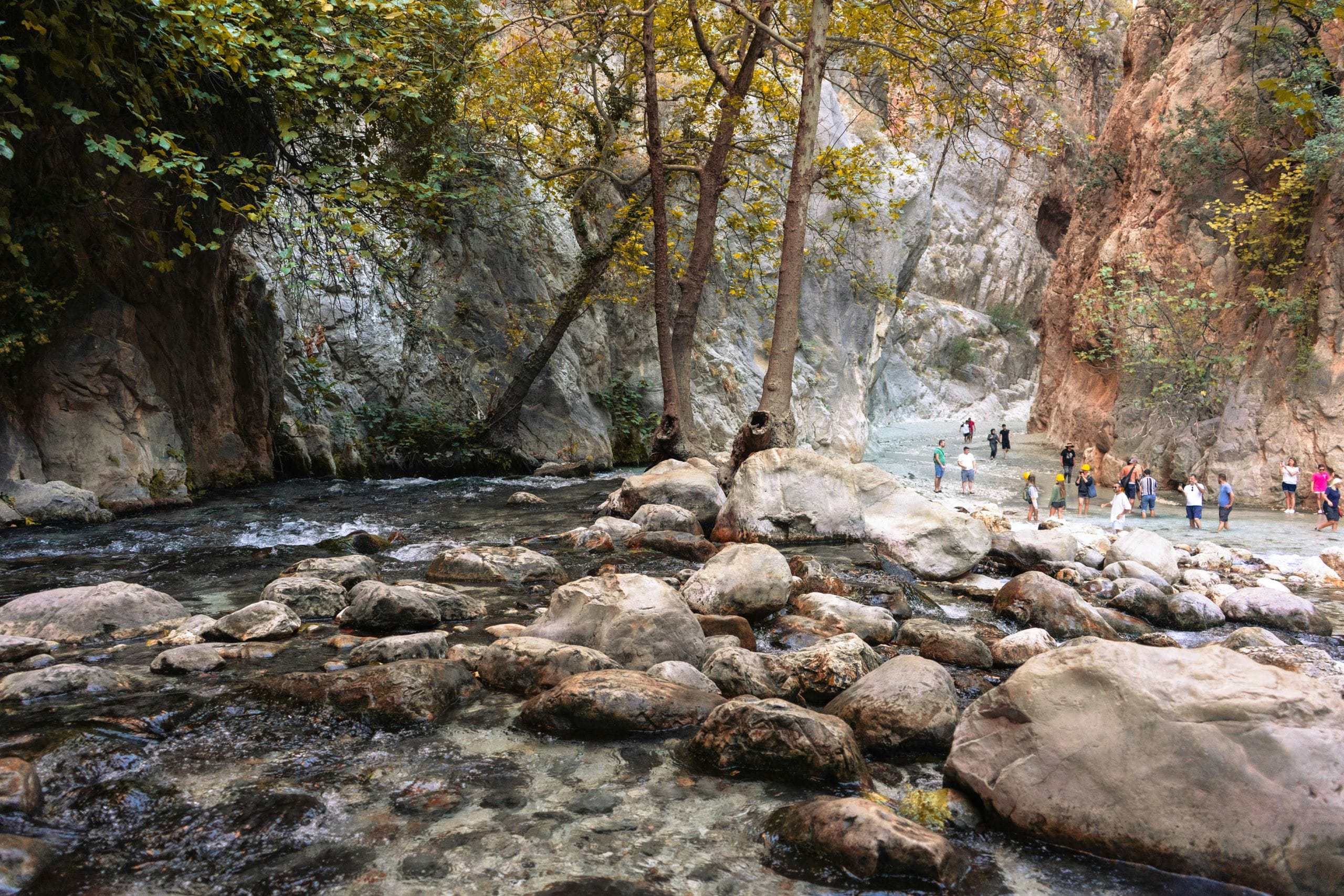Pexels fromsalih
